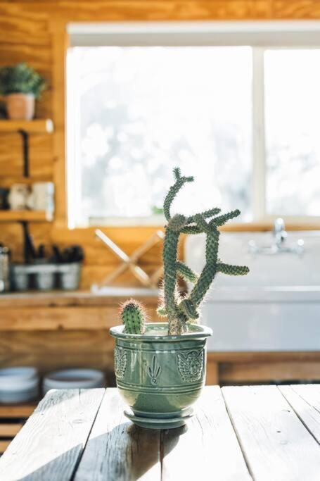Joshua Tree Hidden Tower * Views - Landmark Yucca Valley Extérieur photo